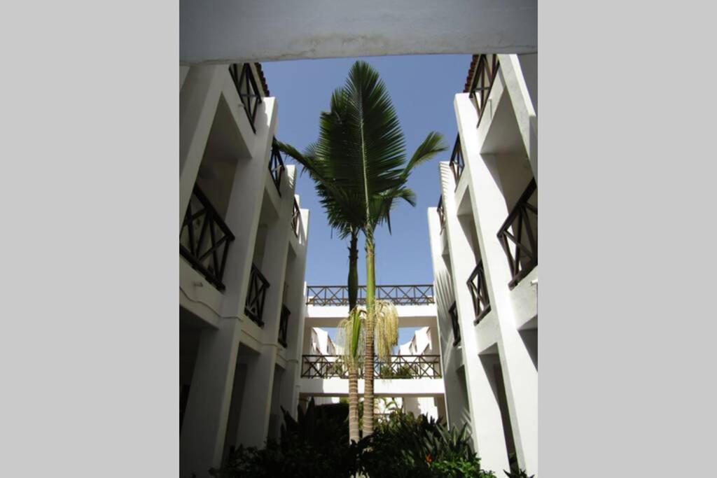 2 Bedrooms Playa Las Americas Parque Santiago I Heated Pool Playa de las Americas  Exteriör bild